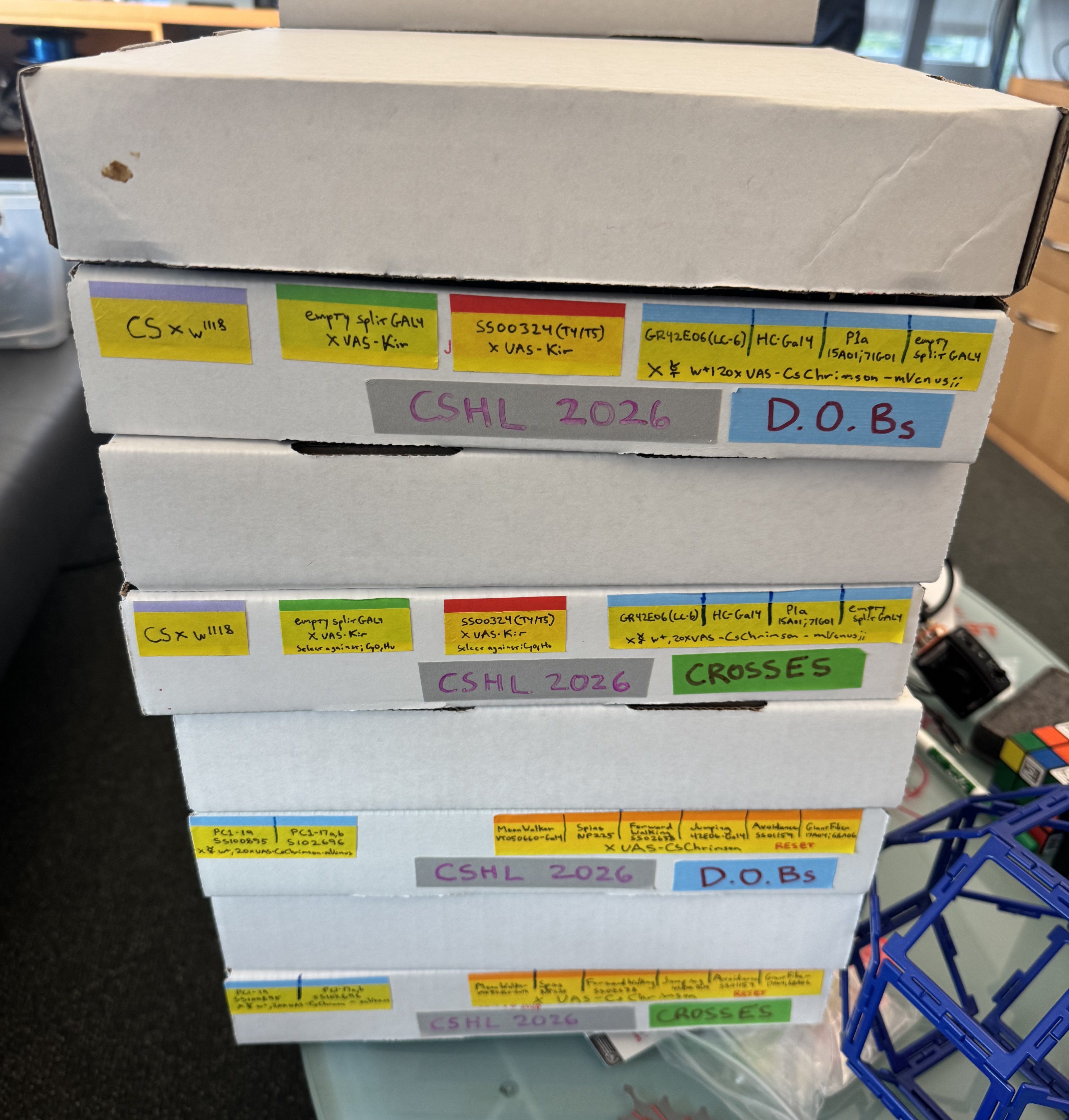 Fly boxes