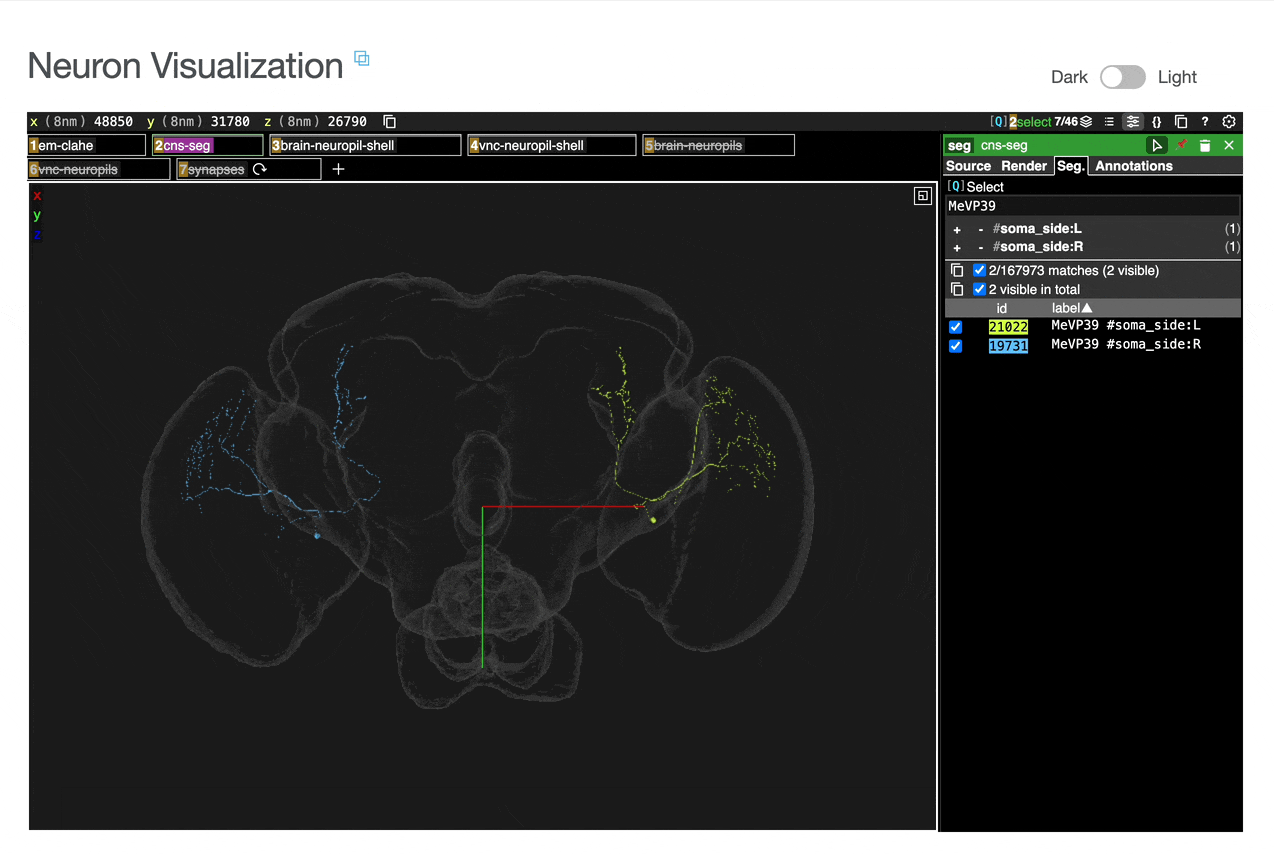 How to add ROI meshes to neuroglancer view.