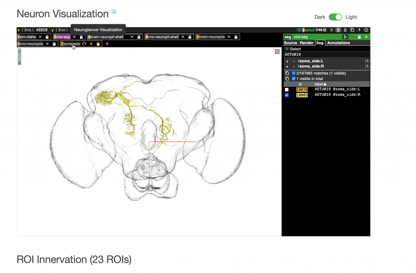 How to toggle reference layers in neuroglancer view.