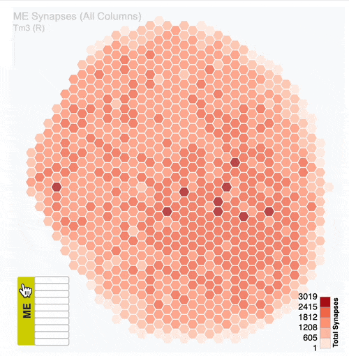Interactivity of the hexagonal eyemap plots.